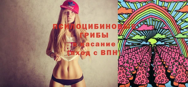 твердый Покачи