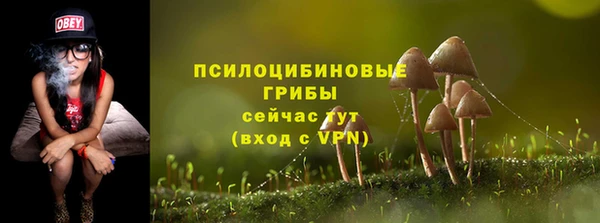 МДПВ Покровск